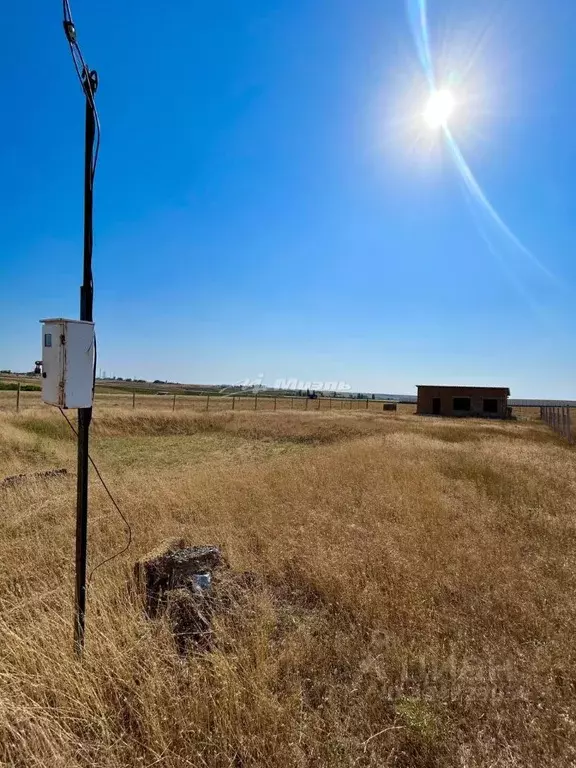 Участок в Крым, Симферопольский район, с. Родниково ул. Озерная, 60А ... - Фото 2