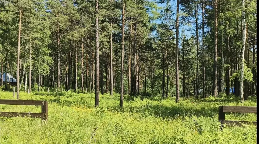 участок в иркутская область, иркутский район, большереченское . - Фото 0