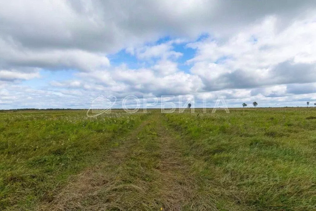 Участок в Тюменская область, Тюмень дор. Окружная (932.38 сот.) - Фото 2