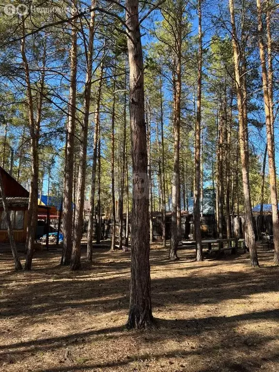 Участок в Якутск, улица Валерия Керемясова (662 м) - Фото 1