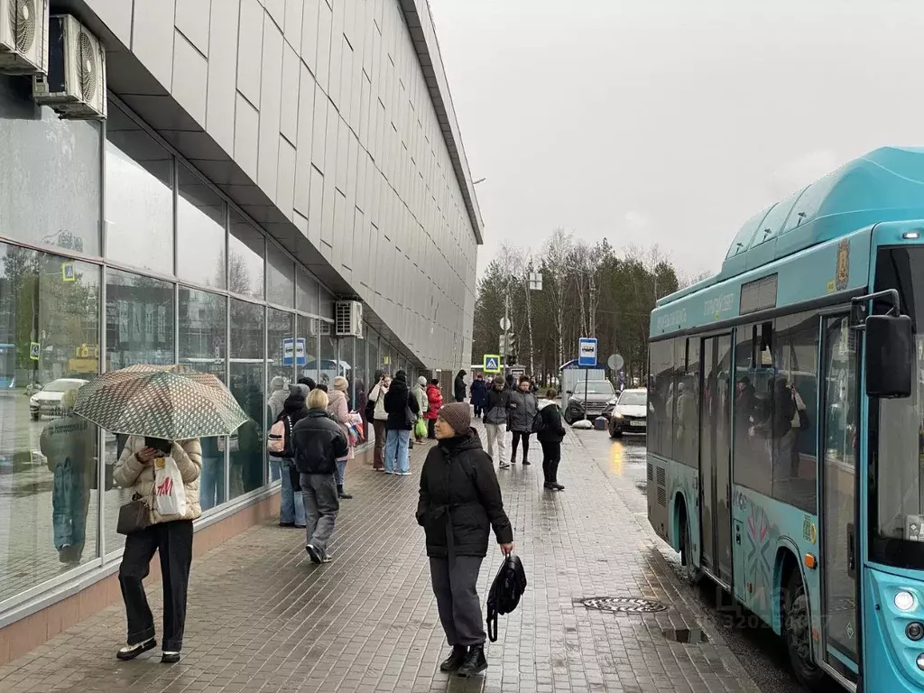 Торговая площадь в Архангельская область, Архангельск наб. Северной ... - Фото 1