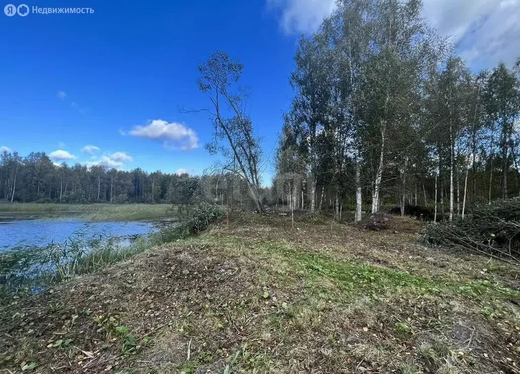 Участок в Выборгский район, Каменногорское городское поселение, ... - Фото 1