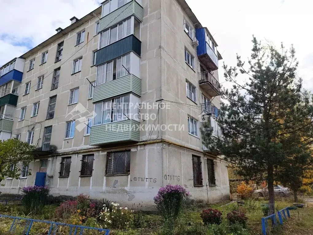 1-к кв. Рязанская область, Шилово рп ул. Рязанская, 119А (30.3 м) - Фото 2