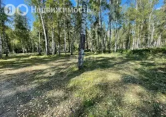 Участок в Майминский район, село Манжерок (10 м) - Фото 0