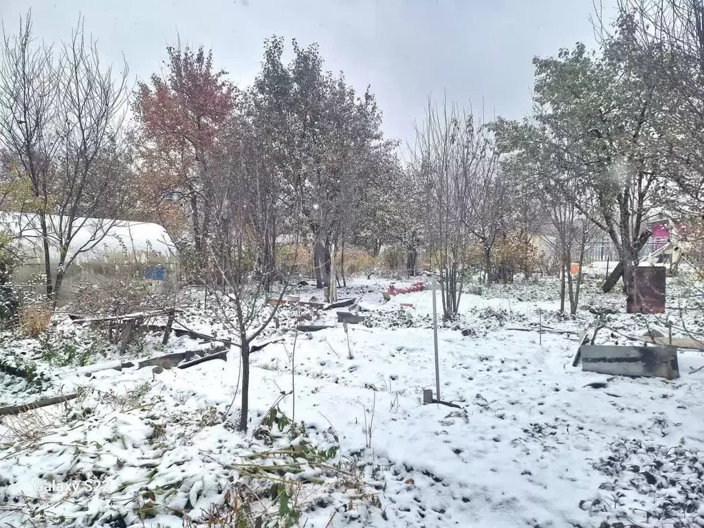 Участок в Челябинская область, Миасс Маяк СНТ, 458 (5.39 сот.) - Фото 2