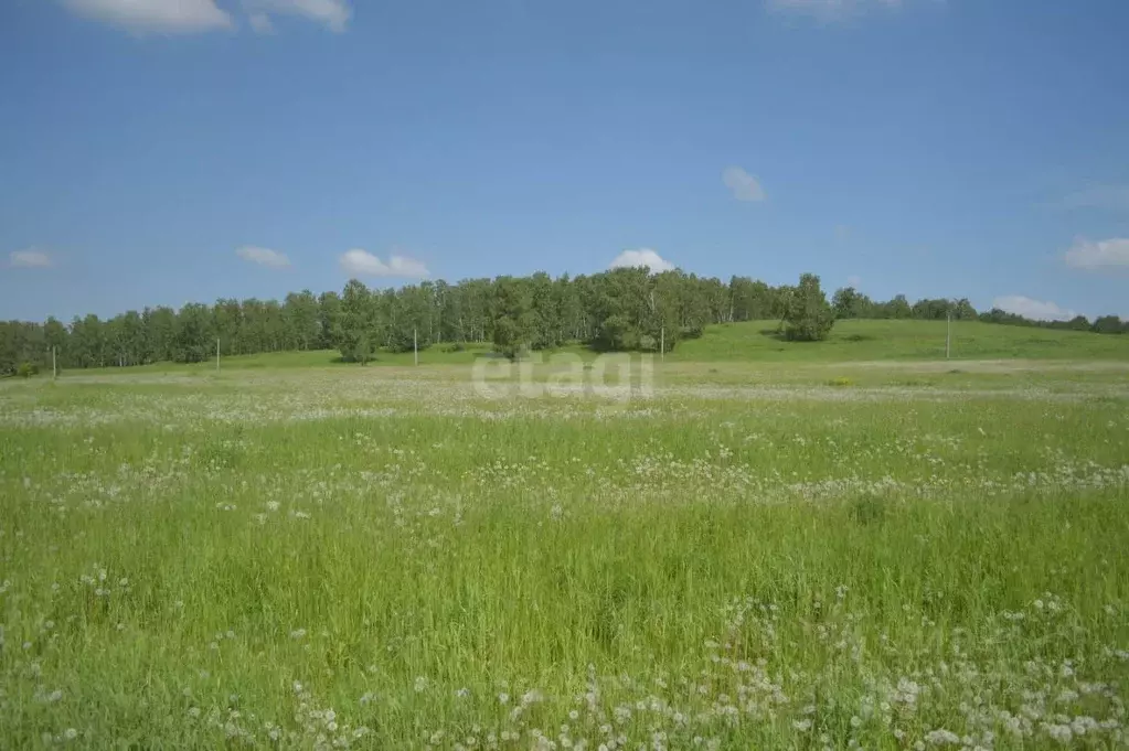 Участок в Кемеровская область, Прокопьевск Сафоново мкр,  (9.4 сот.) - Фото 0