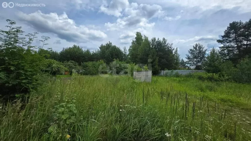 Участок в Кострома, СНТ Струя-2 (7.4 м) - Фото 1