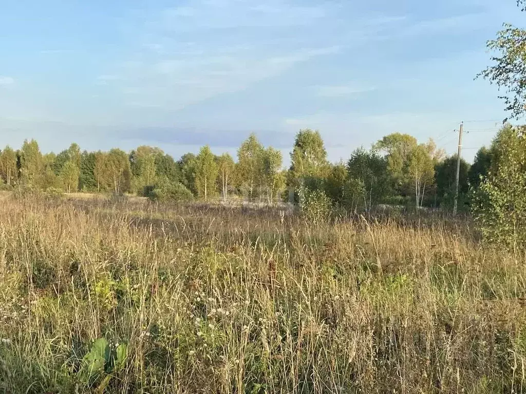 Участок в Марий Эл, Килемарский муниципальный округ, д. Мазикино  ... - Фото 0