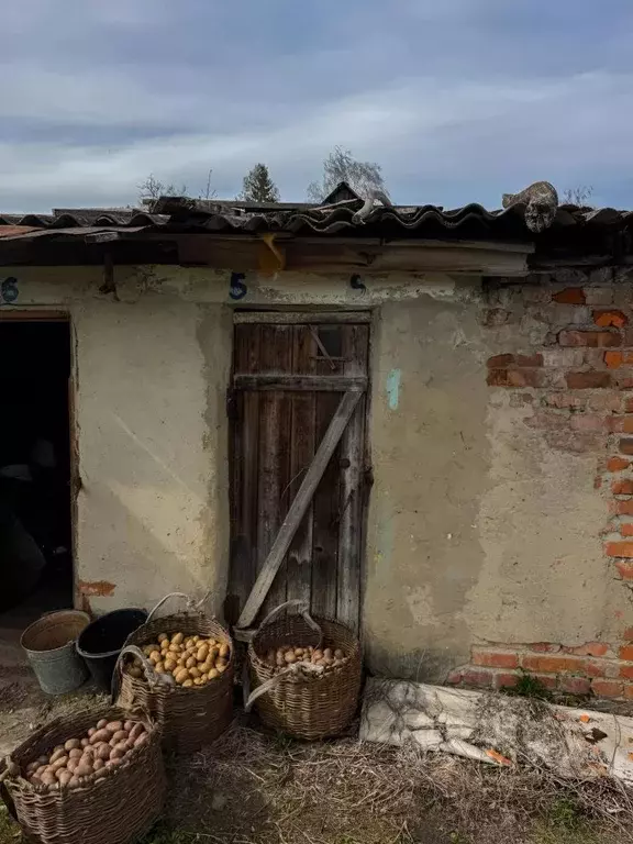 Помещение свободного назначения в Орловская область, Кромы пгт ул. К. ... - Фото 1