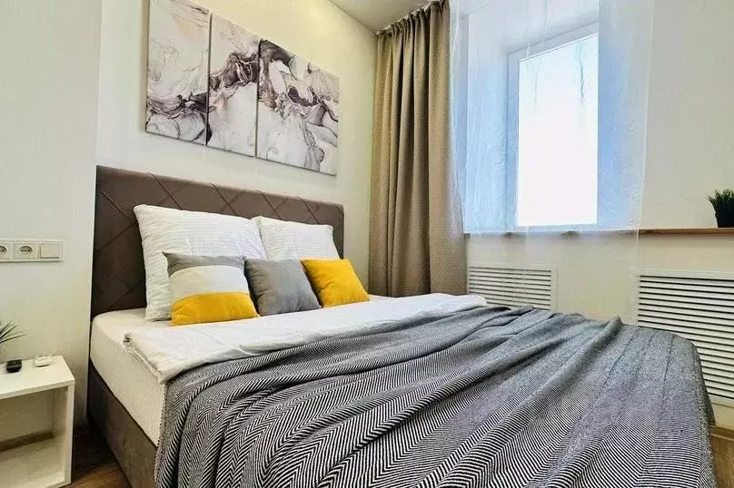 1-к кв. Пермский край, Пермь ул. Куйбышева, 109А (27.0 м) - Фото 2