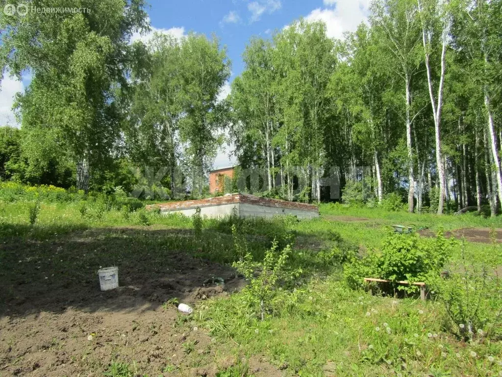 Участок в Раздольненский сельсовет, ДНТ Лекон (14.2 м) - Фото 0
