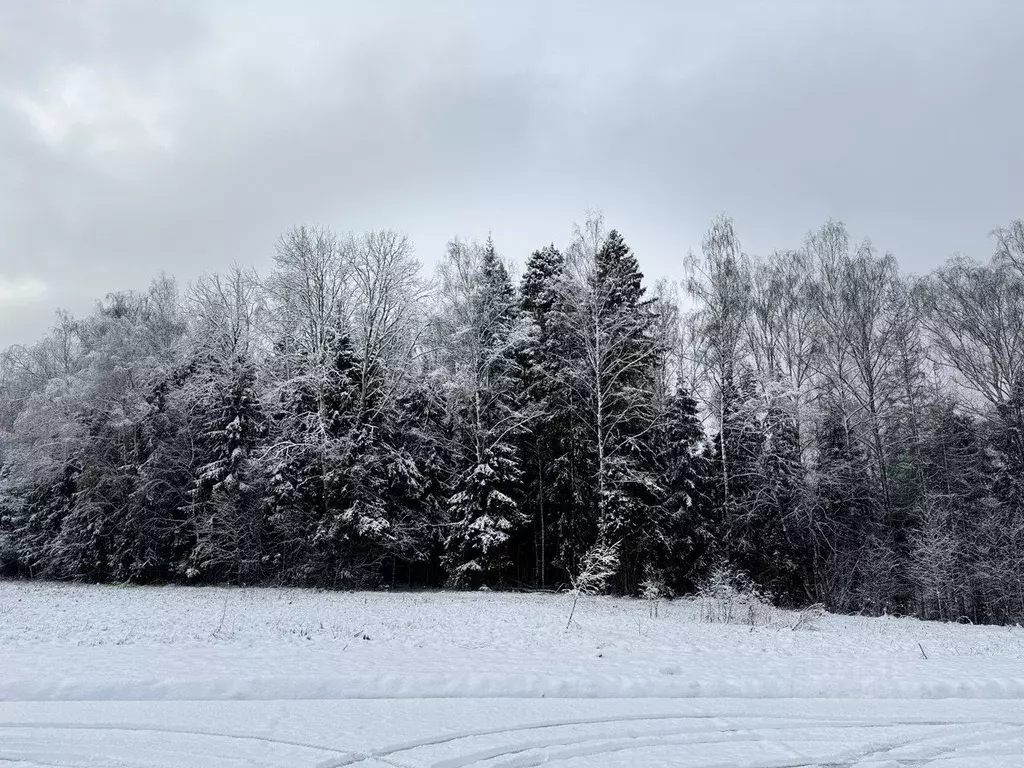 Участок в Московская область, Пушкинский городской округ, ... - Фото 2