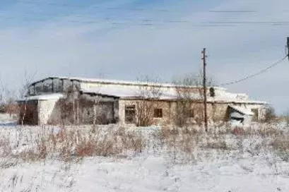 Производственное помещение в Самарская область, Богатовский район, ... - Фото 0