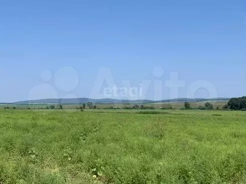 Участок 12 сот. (ИЖС) - Фото 0