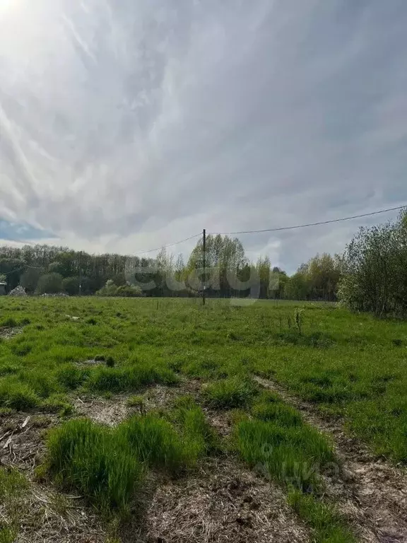 Участок в Вологодская область, Череповецкий район, Ягановское с/пос, ... - Фото 1
