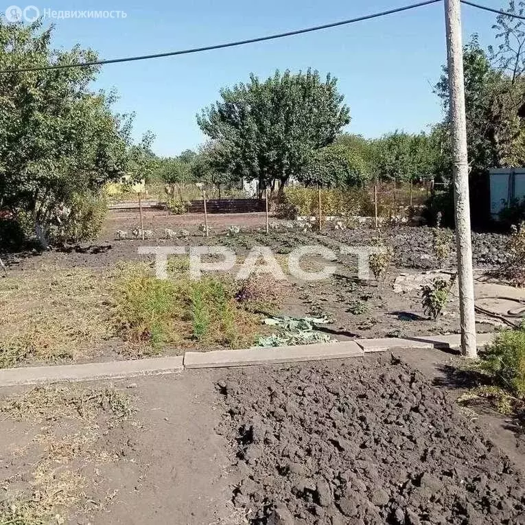 участок в воронежская область, хохольское городское поселение, . - Фото 1