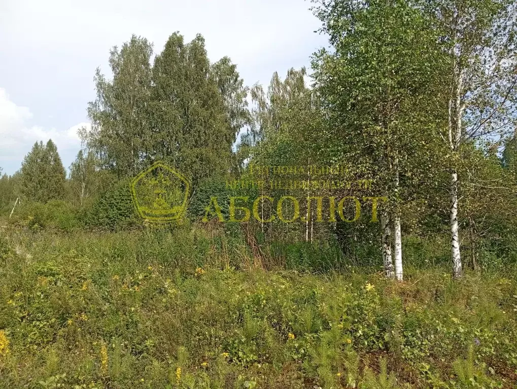 Участок в Свердловская область, Дегтярск ул. Рябиновая (13.0 сот.) - Фото 1