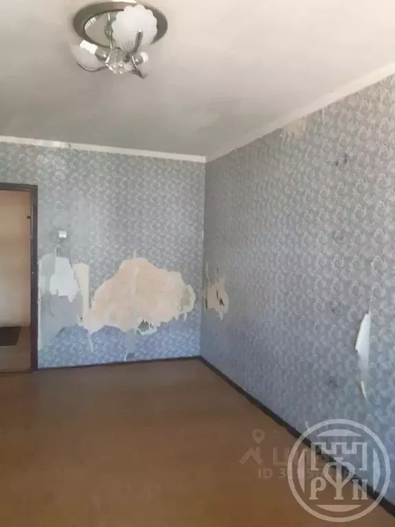 Комната Ленинградская область, Выборг ул. Большая Каменная, 9 (17.0 м) - Фото 1