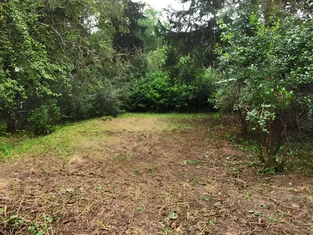 Участок в Московская область, Пушкинский городской округ, Софрино пгт ... - Фото 1