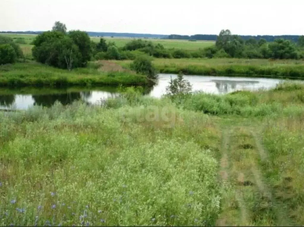 Участок в Марий Эл, Медведевский район, Азановское с/пос, д. Петяково ... - Фото 2