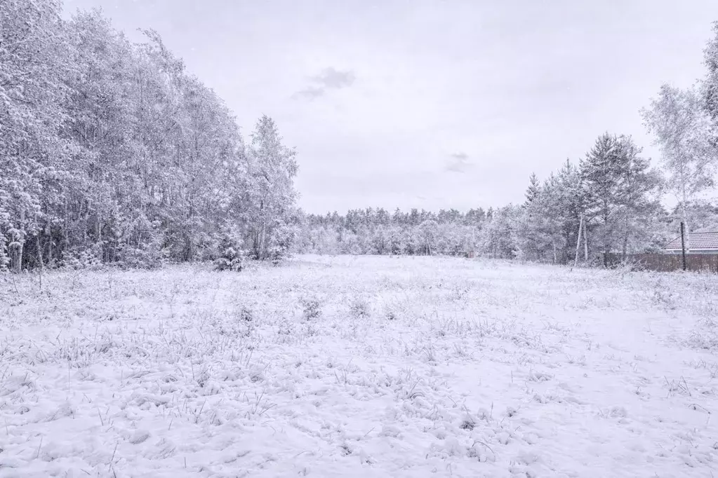 Участок в Московская область, Наро-Фоминский городской округ, д. ... - Фото 2