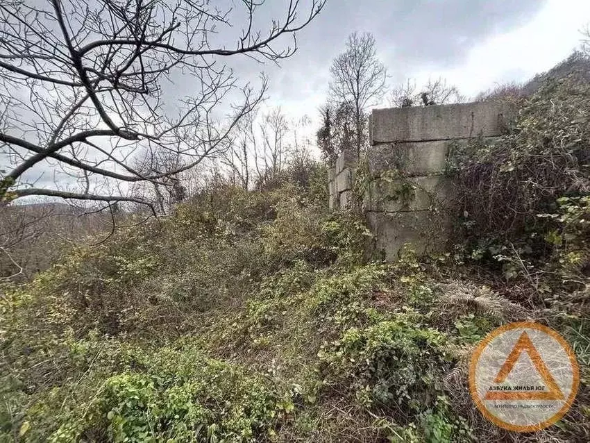 Участок в Краснодарский край, Туапсинский муниципальный округ, Восход ... - Фото 2