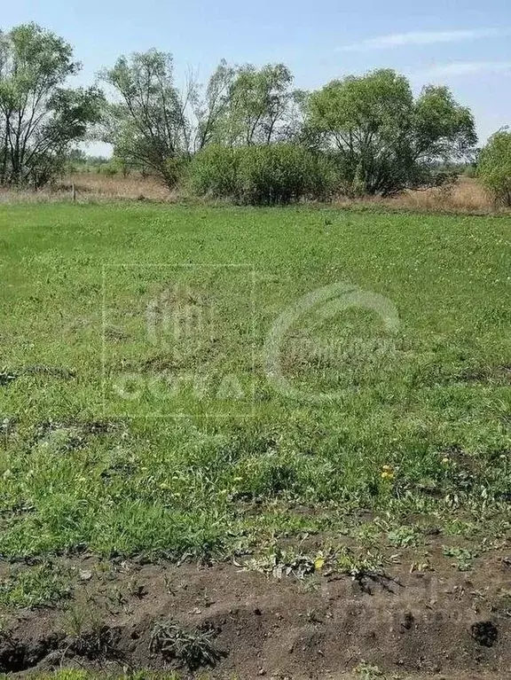 Участок в Воронежская область, Новоусманский район, Усманское 1-е ... - Фото 1