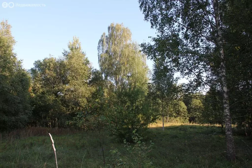 Участок в Тверская область, Вышневолоцкий муниципальный округ, деревня ... - Фото 1