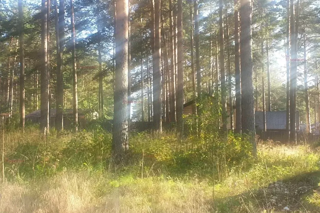 Участок в Свердловская область, Ревда муниципальный округ, с. Кунгурка ... - Фото 2