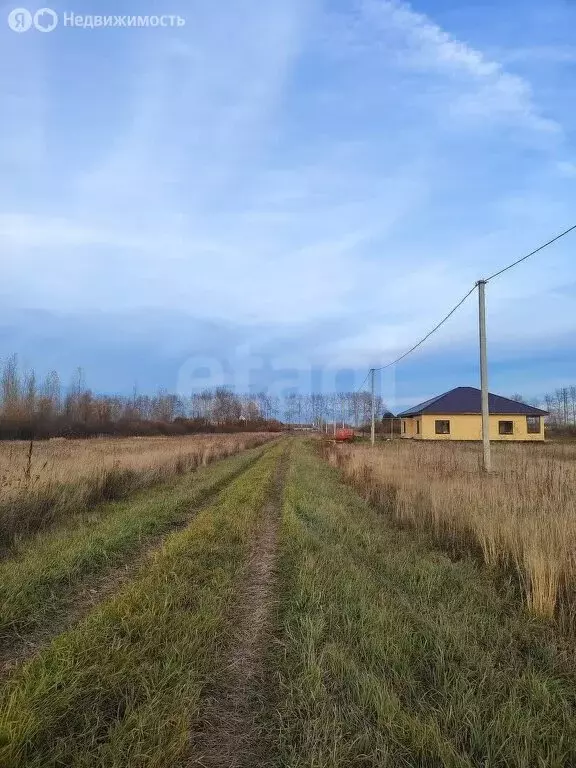 Участок в Ярковский район, село Дубровное (12 м) - Фото 1