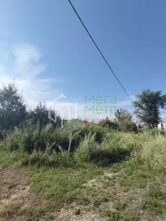 Участок в Воронежская область, с. Семилуки ул. Д. Якушкина (8.0 сот.) - Фото 2