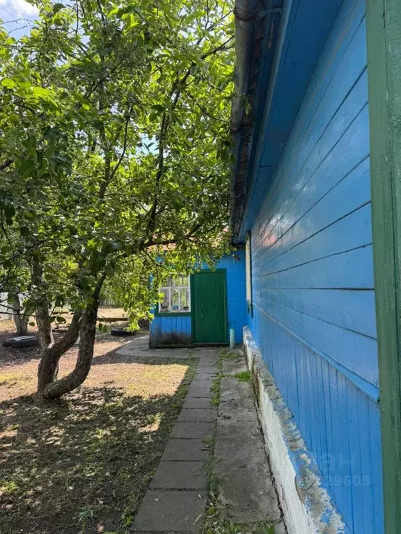 Дом в Пензенская область, Пенза ул. Добролюбова, 20 (65 м) - Фото 1