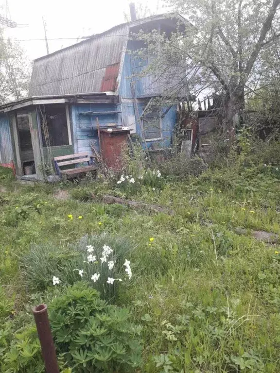 Дом в Екатеринбург, СНТ Химик (40 м) - Фото 1