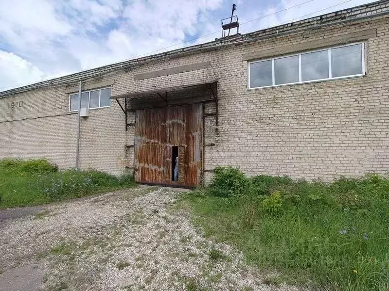 Склад в Нижегородская область, Бор ул. Клубная, 1А (1029 м) - Фото 1