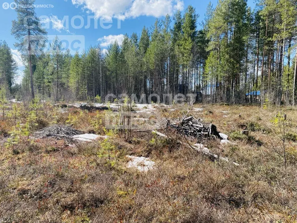 Участок в Республика Коми, городской округ Сыктывкар, посёлок Верхний ... - Фото 1