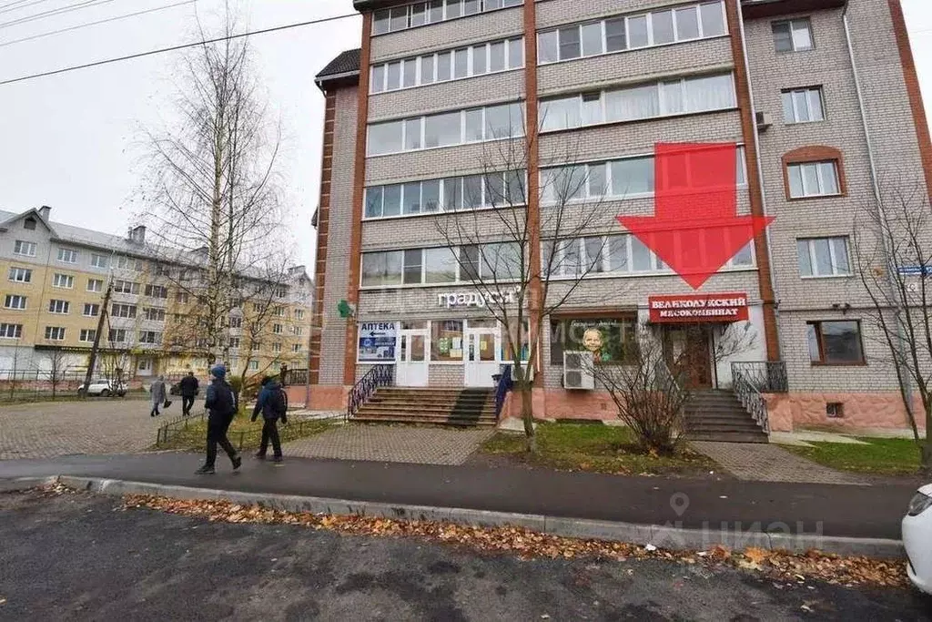 Торговая площадь в Новгородская область, Великий Новгород Московская ... - Фото 0