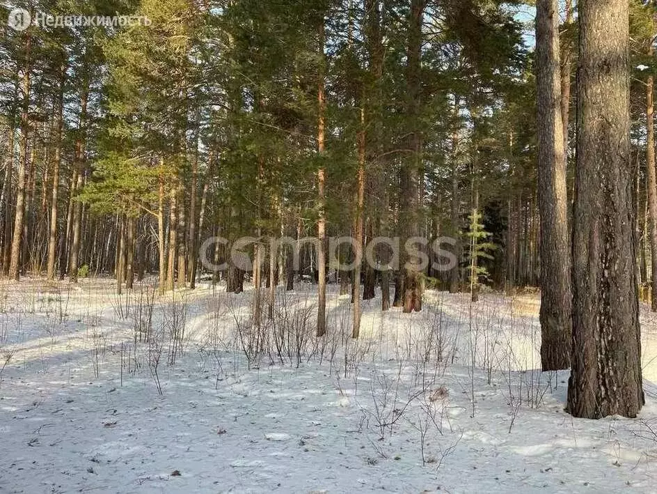 Участок в Тюменский район, деревня Ушакова (41 м) - Фото 0