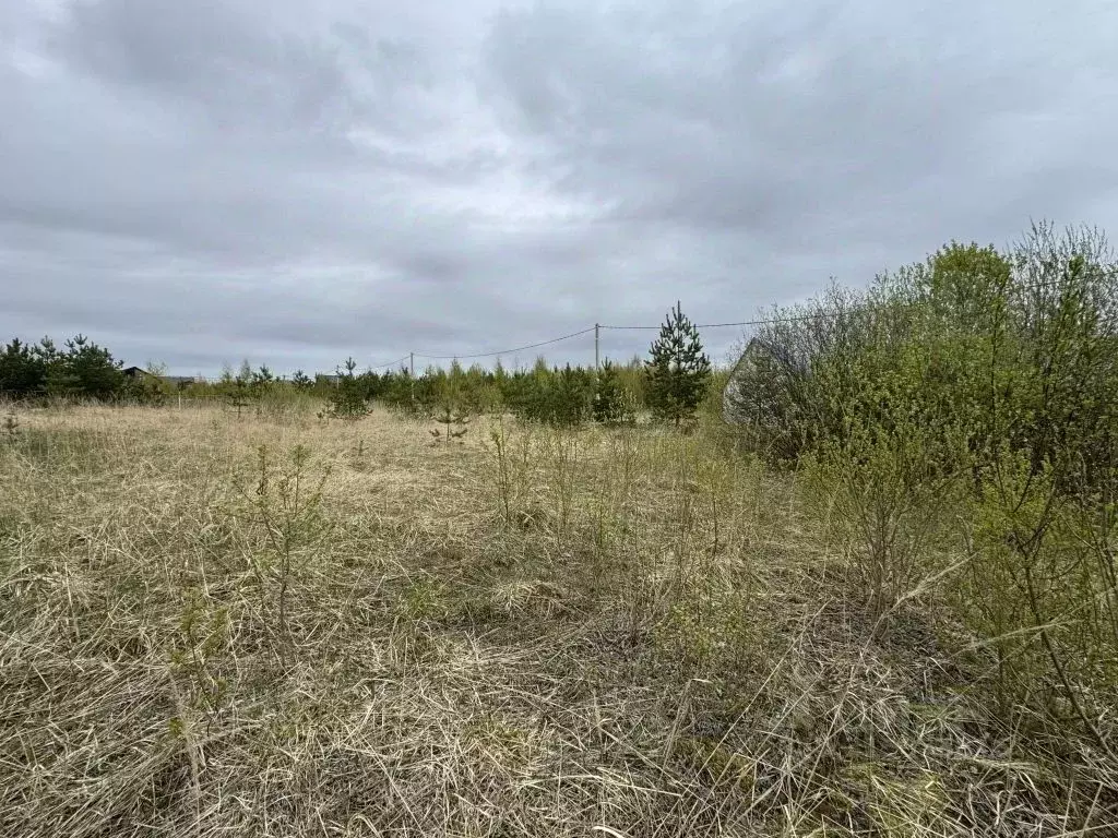 Участок в Нижегородская область, Богородский муниципальный округ, д. ... - Фото 1
