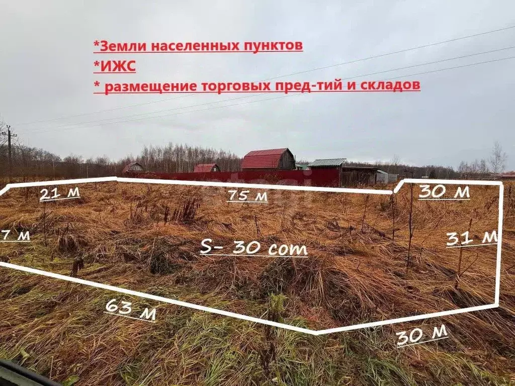 Участок в Владимирская область, Петушинский муниципальный округ, д. ... - Фото 2