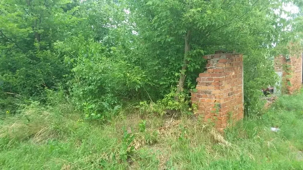 Помещение свободного назначения в Тульская область, Щекинский район, ... - Фото 1