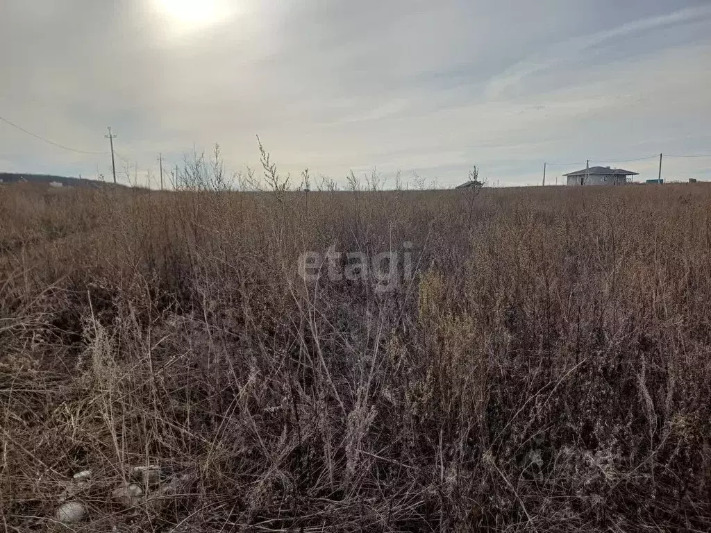 Участок в Воронежская область, Семилукский район, с. Девица ул. ... - Фото 0