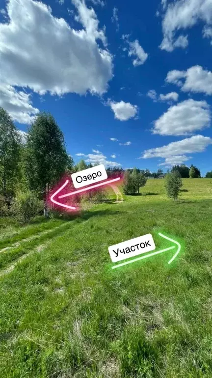 Участок в Ленинградская область, Всеволожский район, Куйвозовское ... - Фото 2