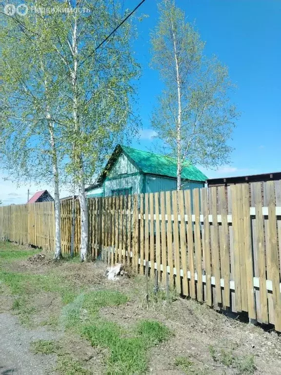 Участок в Тюмень, СНТ Факел, 1-я линия (10 м) - Фото 1