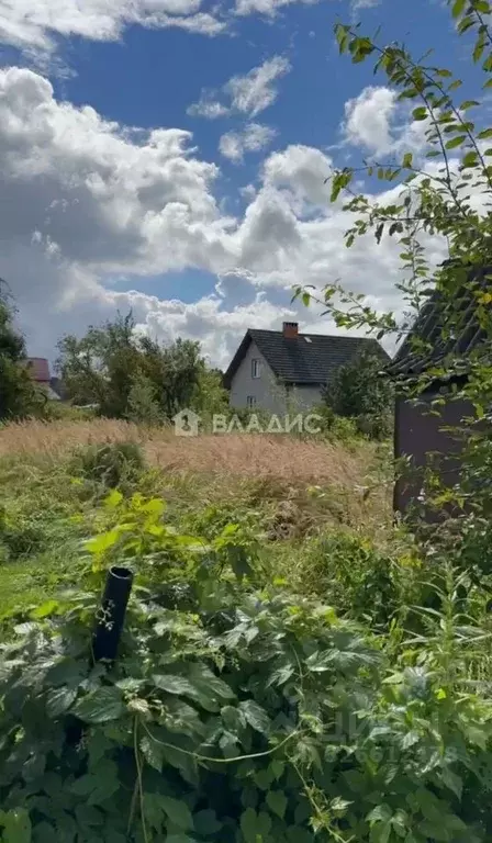 Участок в Калининградская область, Калининград Чайка СНТ, проезд ... - Фото 1