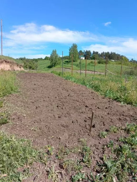 Участок в Курская область, Курский район, Пашковский сельсовет, ... - Фото 1