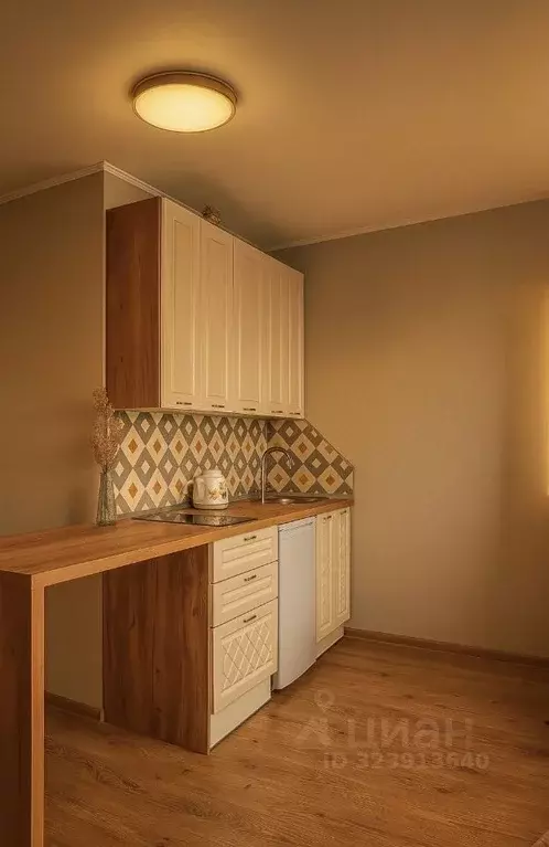 Студия Санкт-Петербург пос. Парголово, проезд Толубеевский, 8к2 (30.0 ... - Фото 1