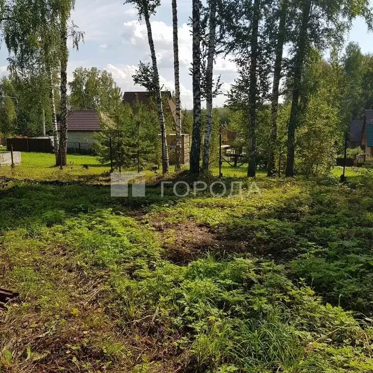 Участок в Новосибирская область, Новосибирский район, Барышевский ... - Фото 0