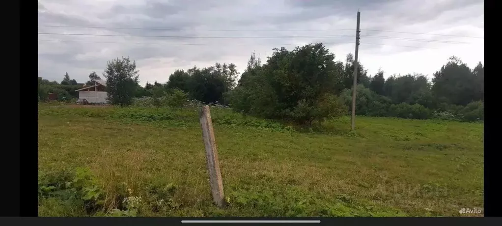 Участок в Московская область, Рузский муниципальный округ, д. Мамошино ... - Фото 1