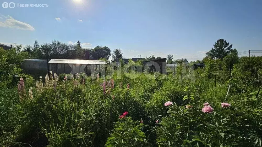 Дом в Новосибирск, СНТ Садовод Сибирь 2 (50 м) - Фото 0