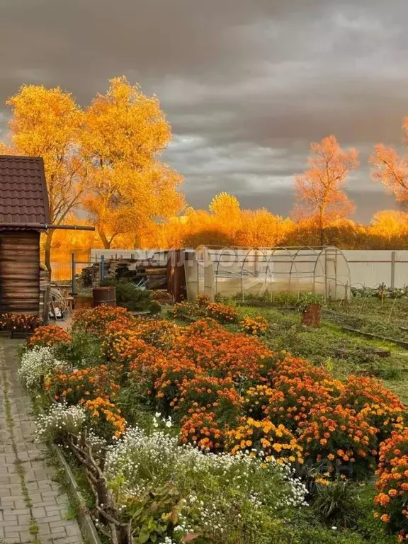 Участок в Новосибирская область, Новосибирск Держава СНТ,  (5.0 сот.) - Фото 0